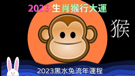 2023猴年運程1980顏色|【2023猴年運程1980顏色】2023猴年運程，1980顏色的秘密！快。